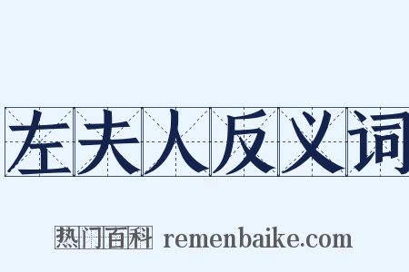 左夫人反义词是什么意思的图片
